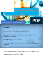 Prokaryotic and Eukaryotic Cell