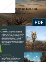 Caatinga biome research