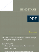 Hemostasis Ankes IV