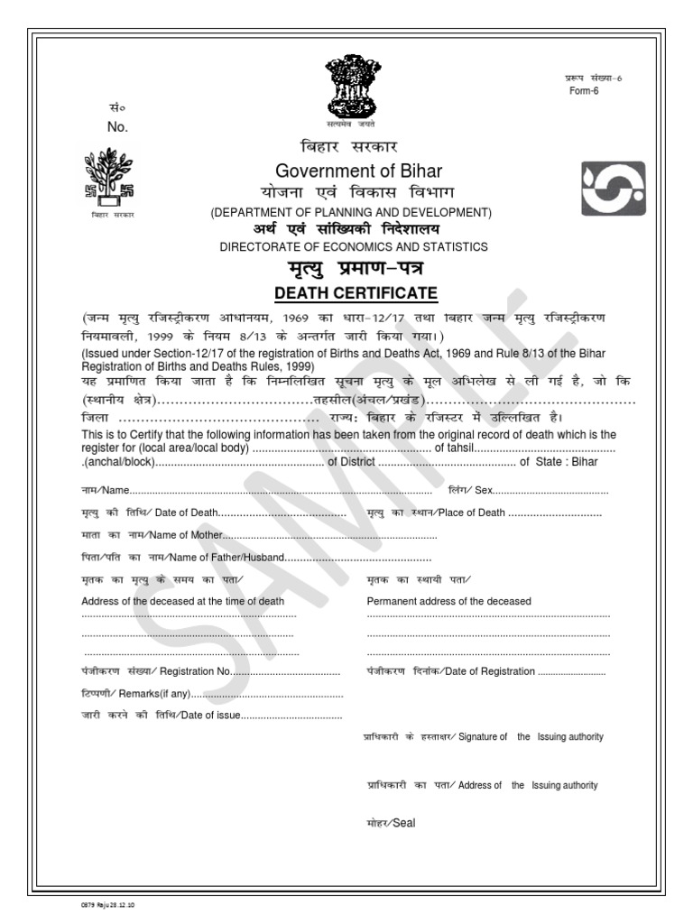 Bihar Death Certificate Form PDF | PDF