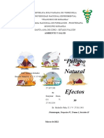 Trabajo de Ambiente y Salud Peligro Natural Efectos y Tendencias