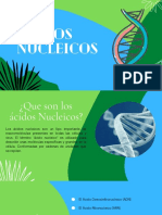 Acidos Nucleicos