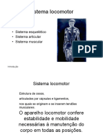 Anatomia Ossos