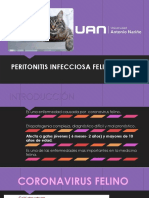 Peritonitis infecciosa felina: tratamiento con GS-441524