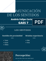 Exposición 3-5.