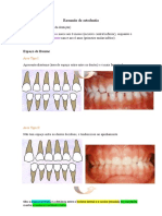 Resumão de Ortodontia
