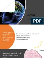 Brain Control and Coordination: Cranial Meninges and Major Parts