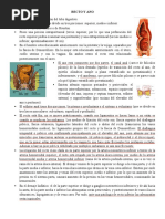 7.semiologia Recto y Ano