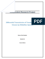 Independent Research Project: Differential Transmission of Tomato Leaf Curl Viruses by Whiteflies Species