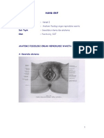 Genetalia Eksterna Dan Interna