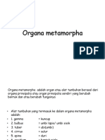 BOTANI-IV Organa Metamorpha