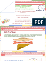 Universidad Autonoma de Chiapas Facultad de Ciencias Quimicas Campus Iv Licenciatura en Quimico Farmacobiologo