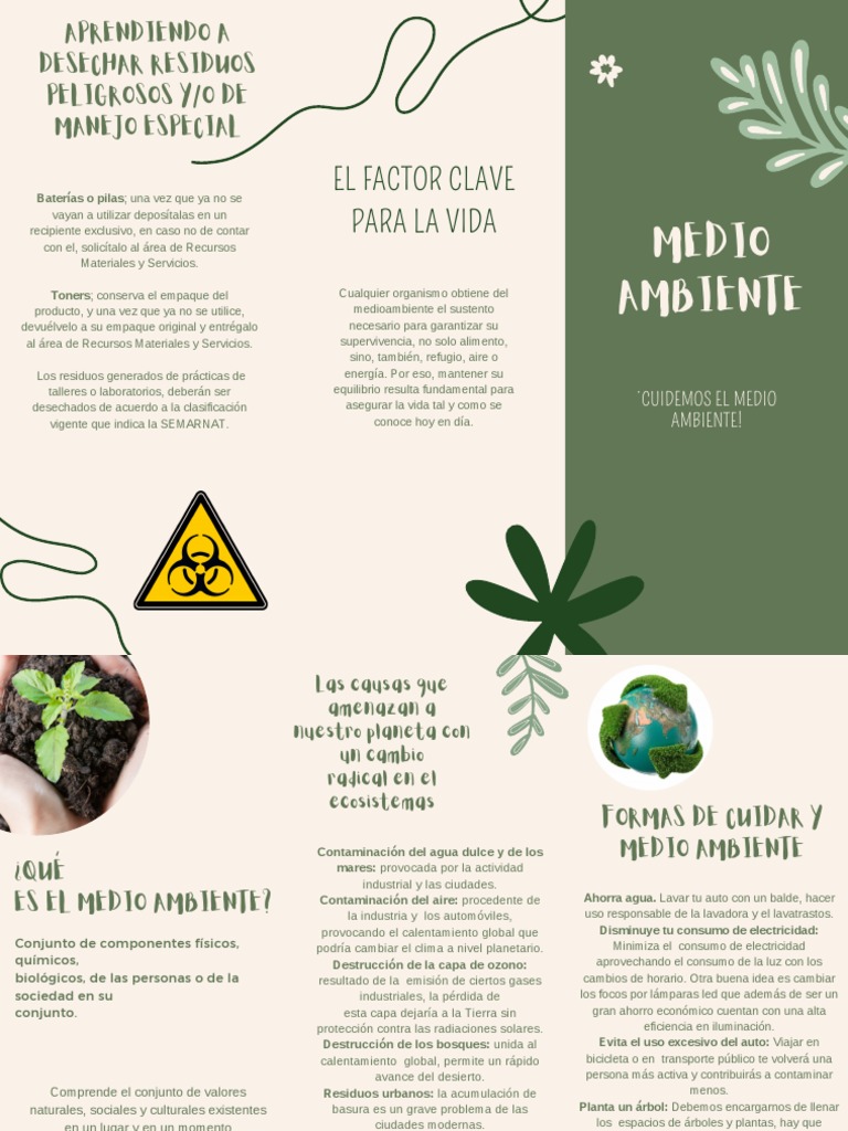 Triptico Del Medio Ambiente | PDF | Entorno natural | Contaminación
