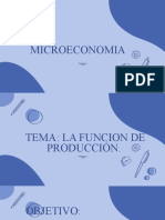 Función de Producción y Análisis Del Producto