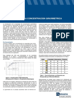 09 04 04 Futuro de La Concentracion Gravimetrica FLS