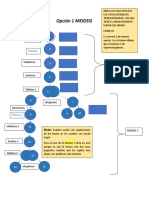 Meiosis