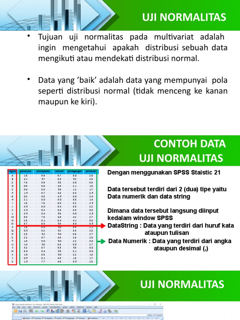 Uji Normalitas dan Homoskedastisitas Data | PDF