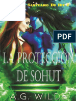 #2 Sohut's Protection