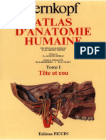 Pernkopf - Atlas D'anatomie Humaine Vol. 1