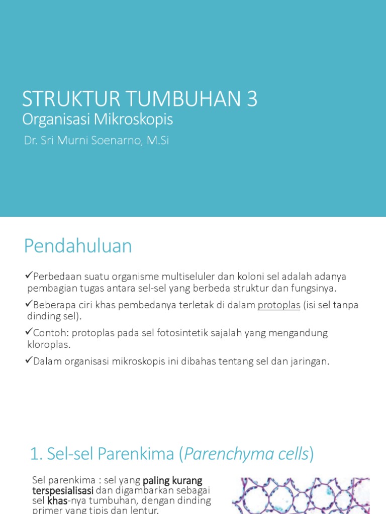 Struktur Tumbuhan 3 | PDF