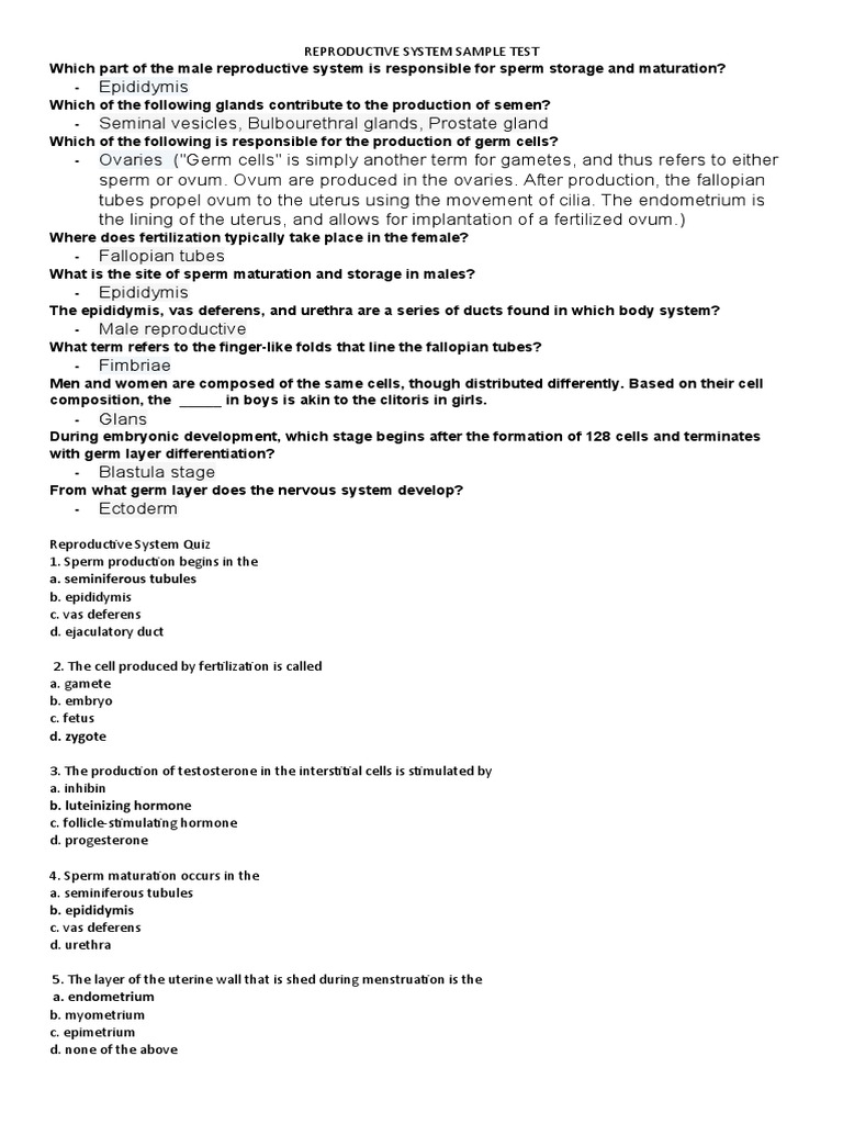 SCIENCE Reproductive System TEST | PDF | Menstrual Cycle | Reproductive ...