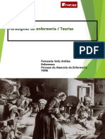 Paradigmas de enfermería y teorías en