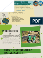 Grupo N°07 - Fiscalización Ambiental en El Perú
