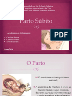 Parto Subito-Novo 2