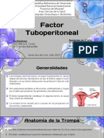 Factor Tuboperitoneal