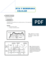 Tema 3 - Cubierta y Membrana Celular