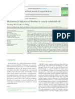 Mechanism of Induction of Fibroblast To Corneal Endothelial Cell