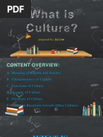 PPC Discussion 1 What Is Culture