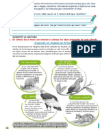 Ficha Com.-Iv Ciclo-22 de Febrero