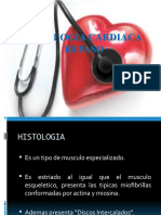 Fisiologia Cardiaca