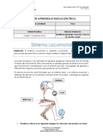 Guia Sistema Locomotor 2do Ciclo CRL