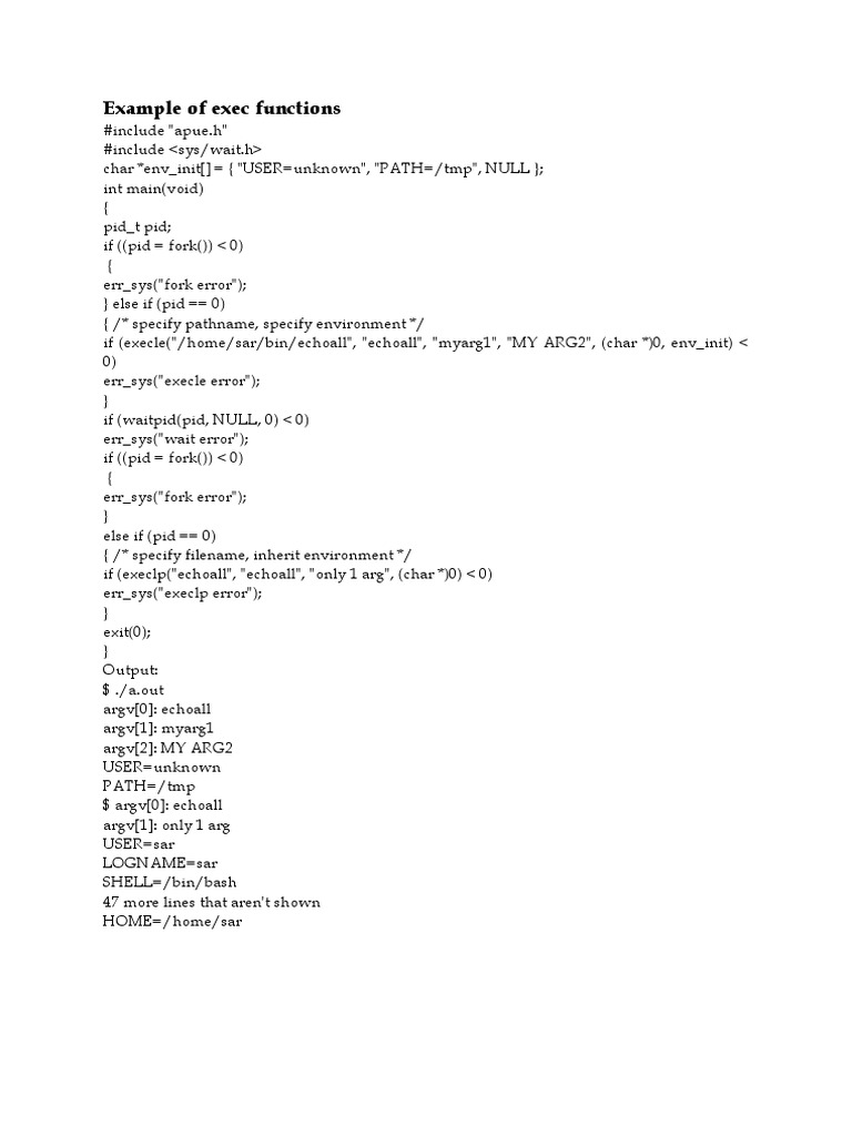 Example of Exec Functions | PDF | Teaching Methods & Materials