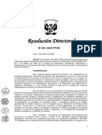 RD 028-2022-TP-DE.pdf