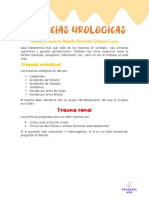 Clase 22 - Urgencias Urológicas
