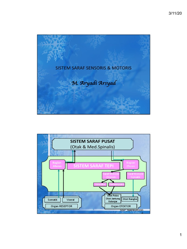 Sistem Saraf Sensoris Dan Motoris | PDF