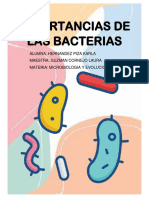 Importancia de las bacterias