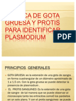 Tecnica de Gota Gruesa y Protis para Identificar