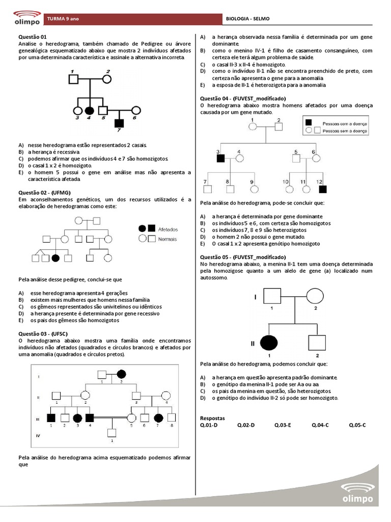 Exercícios de Heredograma - 9º Ano | PDF | Zigosidade | Genótipo