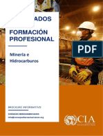 Minería - Consejos Iberoamericanos