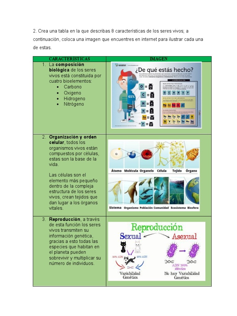 Tarea Seres Vivos | Descargar gratis PDF | Organismos | Biología Celular)