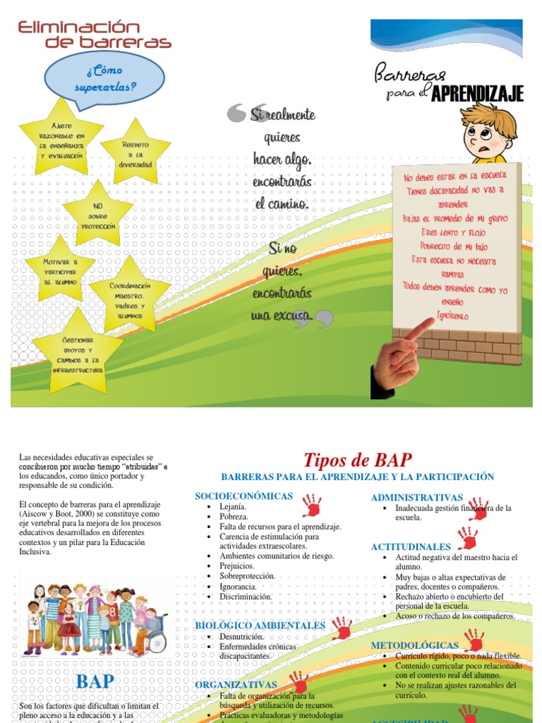 Tríptico BAP | PDF | Plan de estudios | Aprendizaje