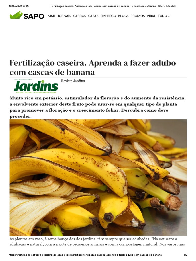 Fertilização Caseira. Aprenda A Fazer Adubo Com Cascas de Banana ...