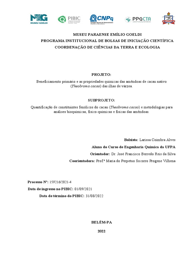 relat-rio-final-pibic-download-gr-tis-pdf-titula-o-qu-mica