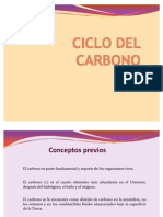 Ciclo Del Carbono