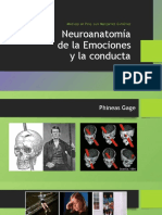 Anatomia de Las Emociones y Conducta