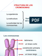 Clase 10 Estructura de Los Cromosomas